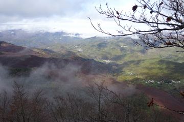 Foto web